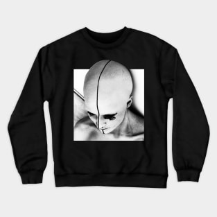 Poppy Demon 2 Crewneck Sweatshirt